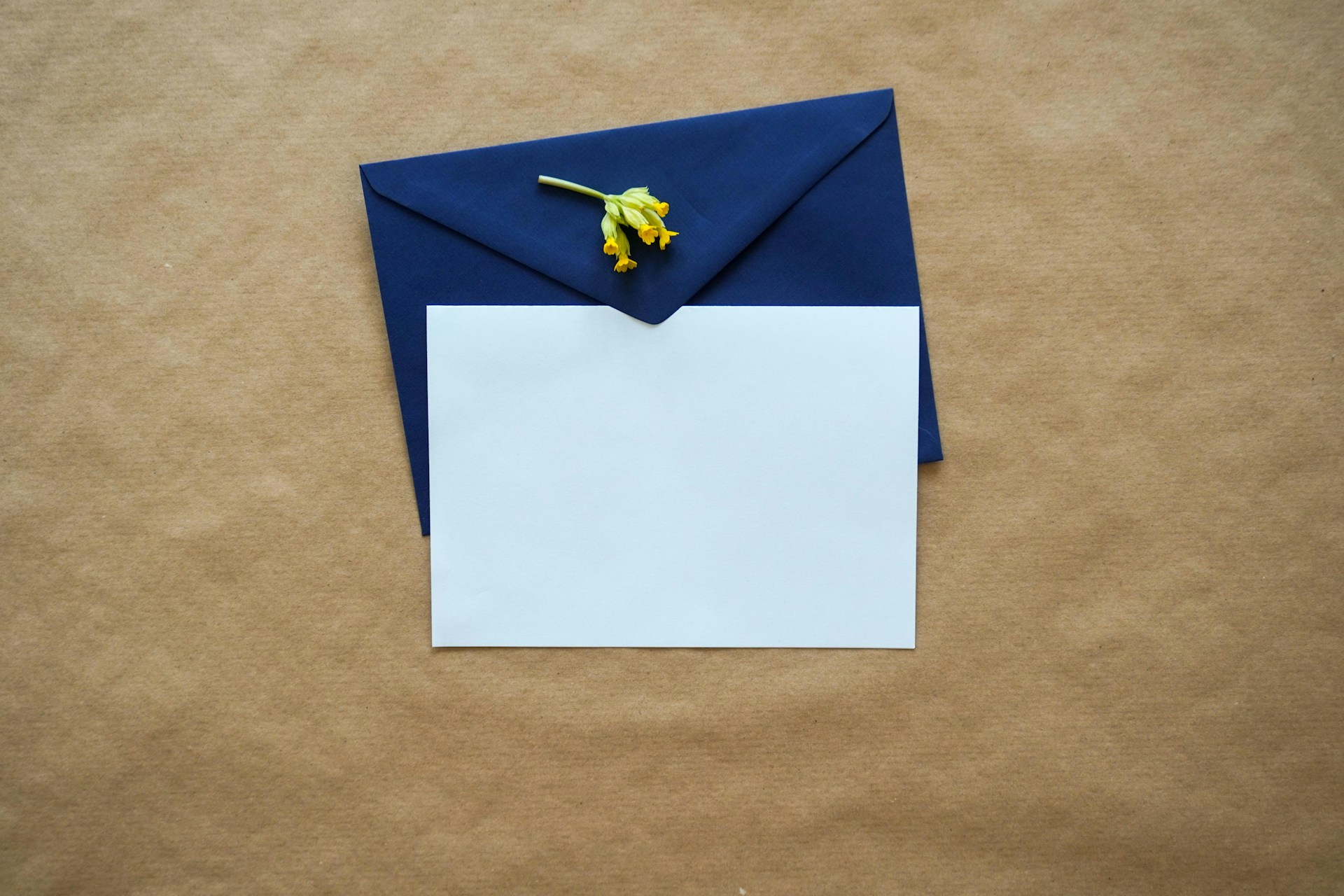 Letters to Descendants: A Tradition That Unites Generations